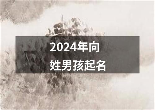 2024年向姓男孩起名