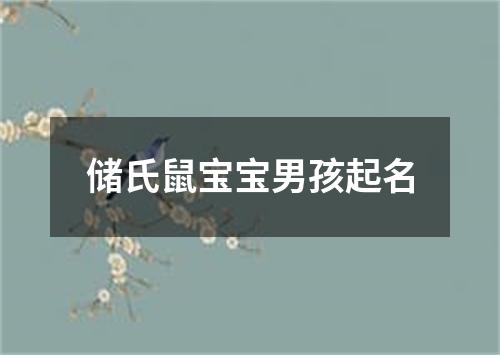 储氏鼠宝宝男孩起名