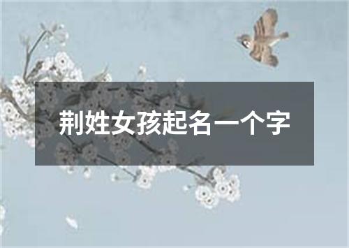 荆姓女孩起名一个字