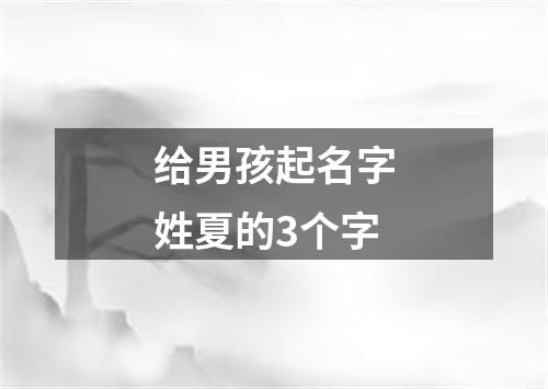 给男孩起名字姓夏的3个字