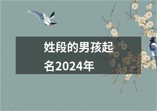 姓段的男孩起名2024年