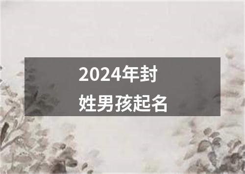 2024年封姓男孩起名