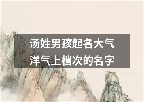 汤姓男孩起名大气洋气上档次的名字