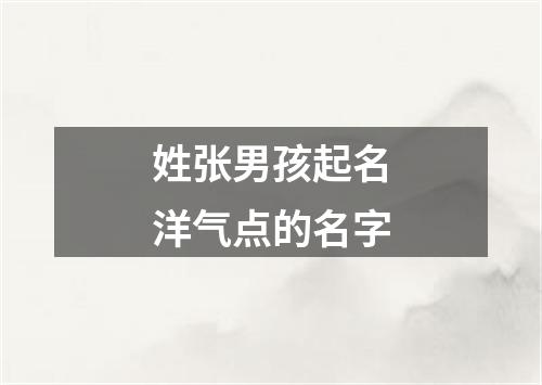 姓张男孩起名洋气点的名字