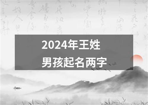 2024年王姓男孩起名两字