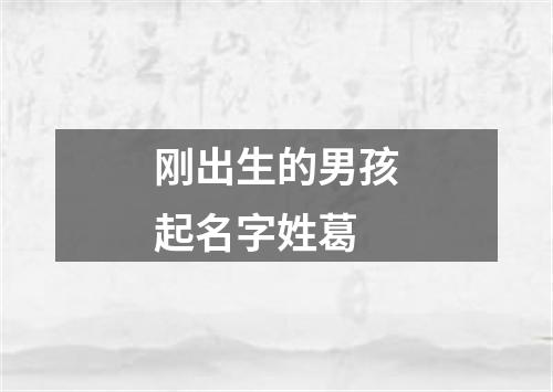 刚出生的男孩起名字姓葛