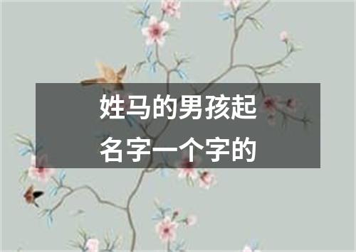 姓马的男孩起名字一个字的