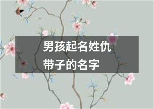 男孩起名姓仇带子的名字