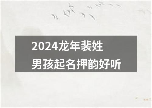 2024龙年裴姓男孩起名押韵好听