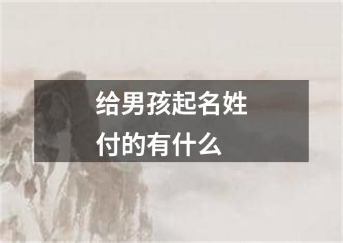 给男孩起名姓付的有什么