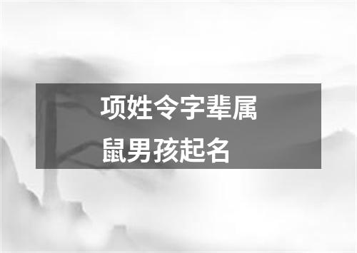 项姓令字辈属鼠男孩起名