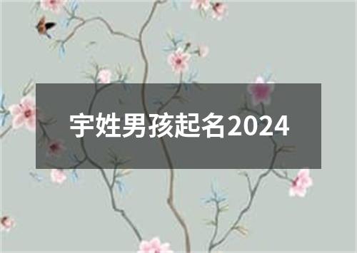 宇姓男孩起名2024