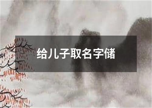 给儿子取名字储