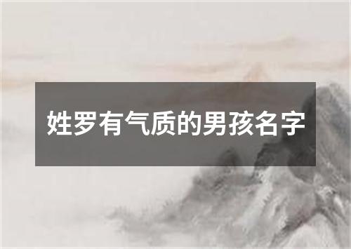 姓罗有气质的男孩名字