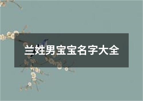 兰姓男宝宝名字大全