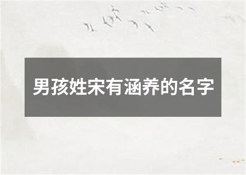 男孩姓宋有涵养的名字