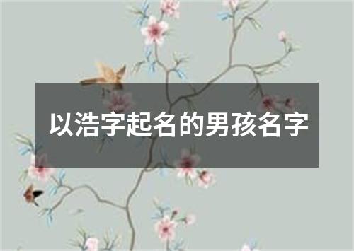 以浩字起名的男孩名字