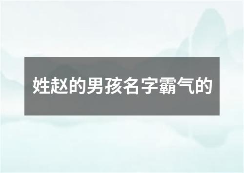 姓赵的男孩名字霸气的