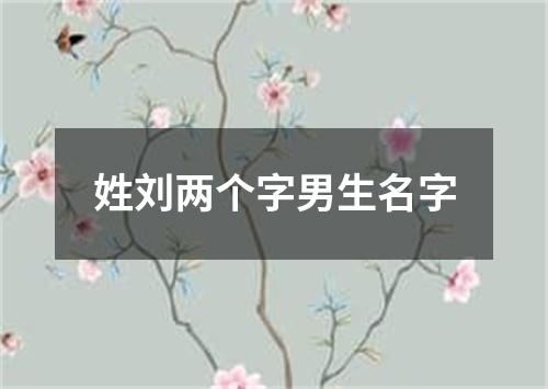 姓刘两个字男生名字