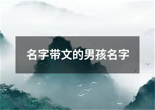 名字带文的男孩名字