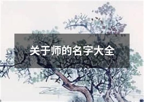 关于师的名字大全