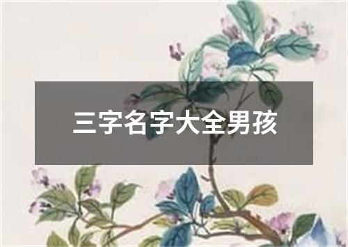 三字名字大全男孩