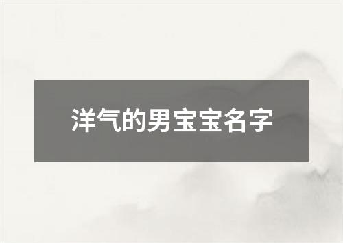 洋气的男宝宝名字