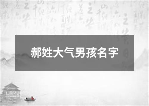 郝姓大气男孩名字