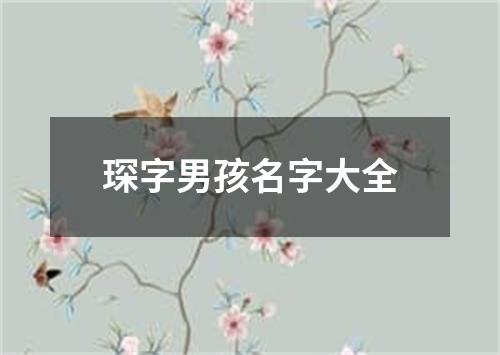 琛字男孩名字大全