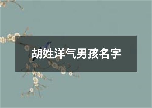 胡姓洋气男孩名字