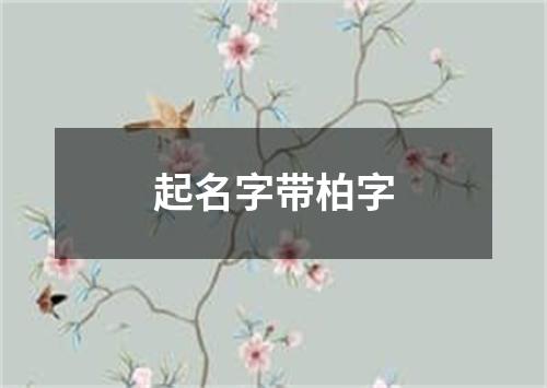 起名字带柏字