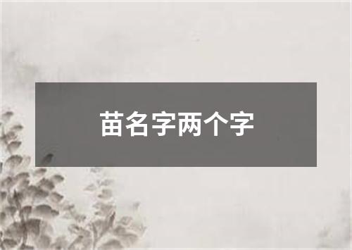 苗名字两个字