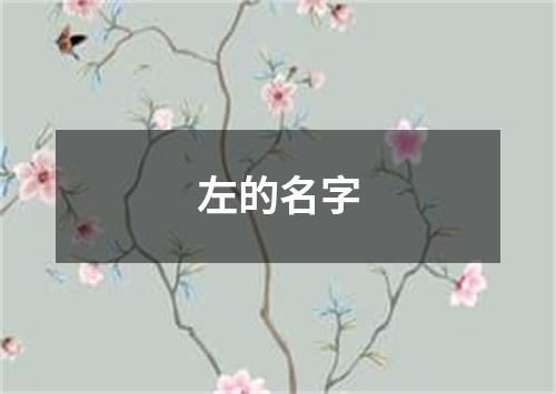 左的名字