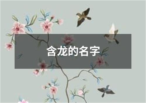 含龙的名字