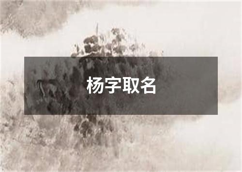 杨字取名