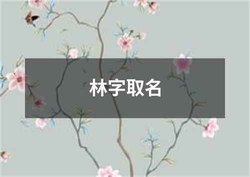 林字取名