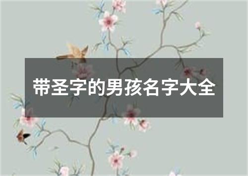 带圣字的男孩名字大全