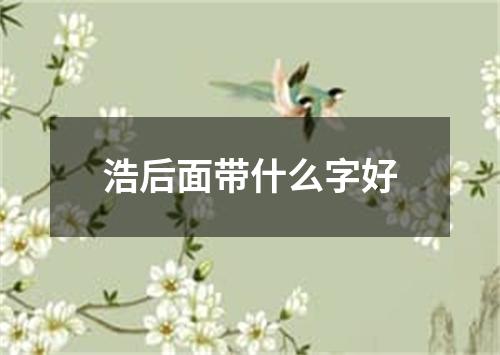 浩后面带什么字好