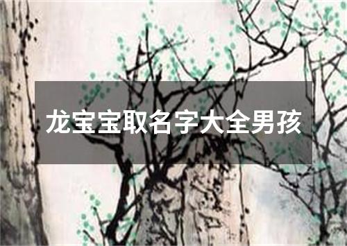 龙宝宝取名字大全男孩