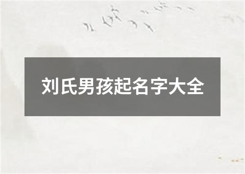 刘氏男孩起名字大全