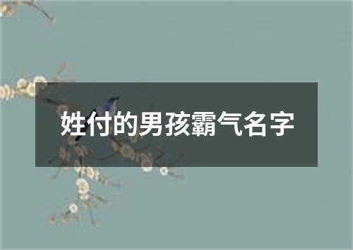 姓付的男孩霸气名字