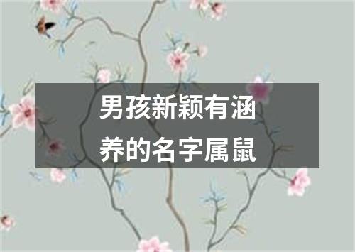 男孩新颖有涵养的名字属鼠