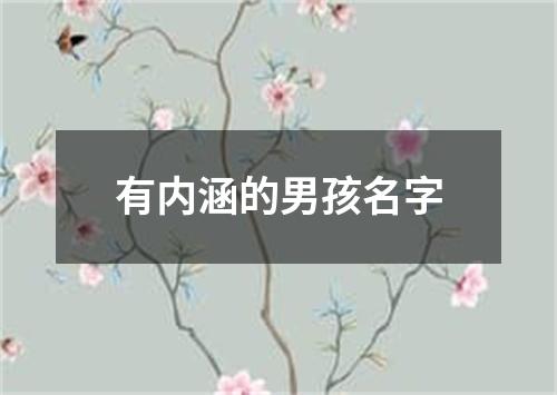 有内涵的男孩名字