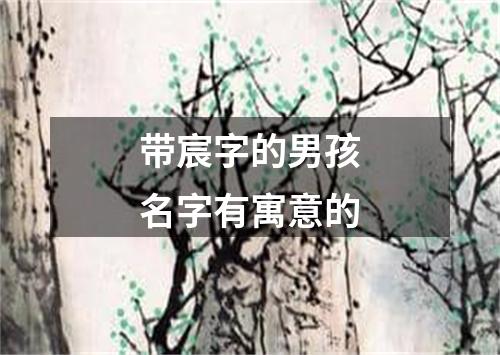 带宸字的男孩名字有寓意的