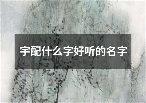 宇配什么字好听的名字