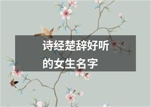 诗经楚辞好听的女生名字