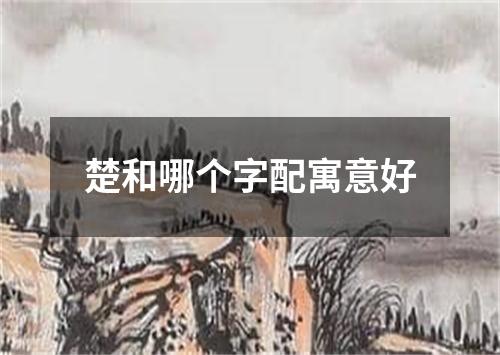 楚和哪个字配寓意好