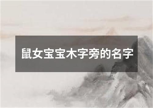 鼠女宝宝木字旁的名字