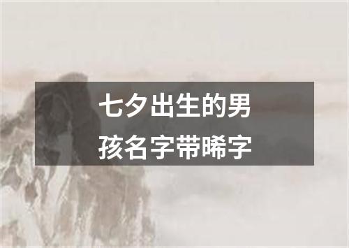 七夕出生的男孩名字带晞字