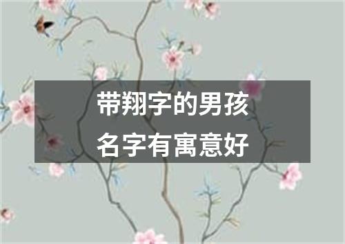 带翔字的男孩名字有寓意好